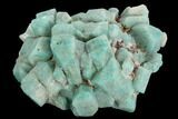 Amazonite Crystal Cluster - Colorado #129238-1